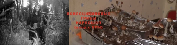 скорость Няндома
