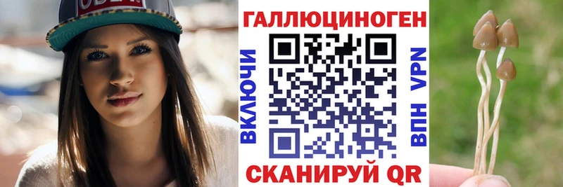 Псилоцибиновые грибы Cubensis  Эртиль 